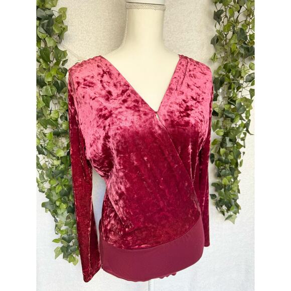 Altar'd State Maroon Sheer Back Long Sleeve Velour Bodysuit Blouse Large - Picture 2 of 10